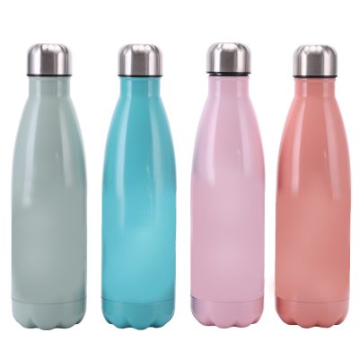 Double layer stainless steel insulated water bottle | Stainless Steel ...